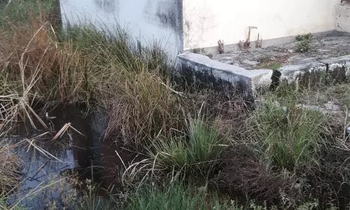 வடிகால் வாய்க்கால் தூர்வாரப்படுமா?