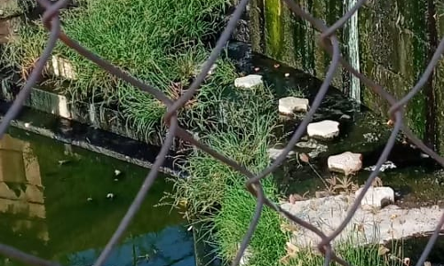 சுகாதார சீர்கேடு