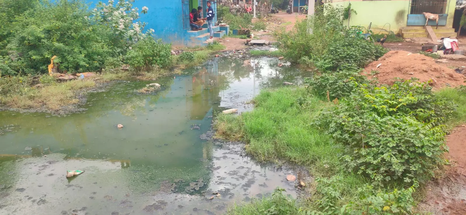 கழிவுநீரும் பிரச்சினையும் கழிவுநீரும் பிரச்சினையும்