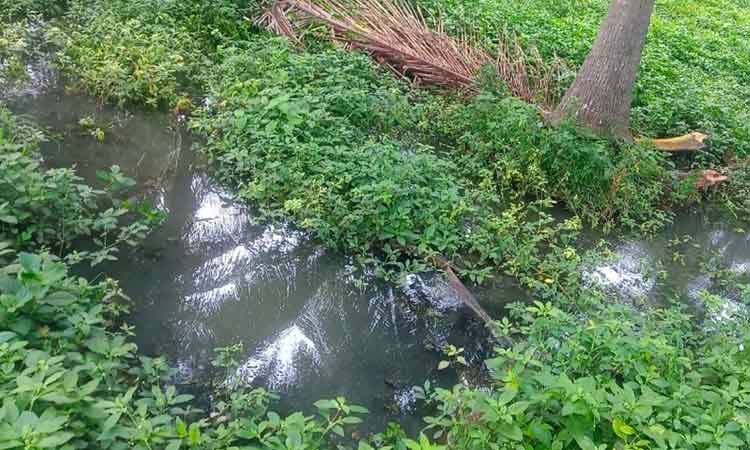 கழிவுநீர் கலப்பதை தடுக்க வேண்டும் கழிவுநீர் கலப்பதை தடுக்க வேண்டும்