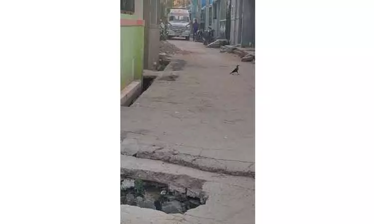 பள்ளத்தை சரி செய்ய வேண்டும் பள்ளத்தை சரி செய்ய வேண்டும்