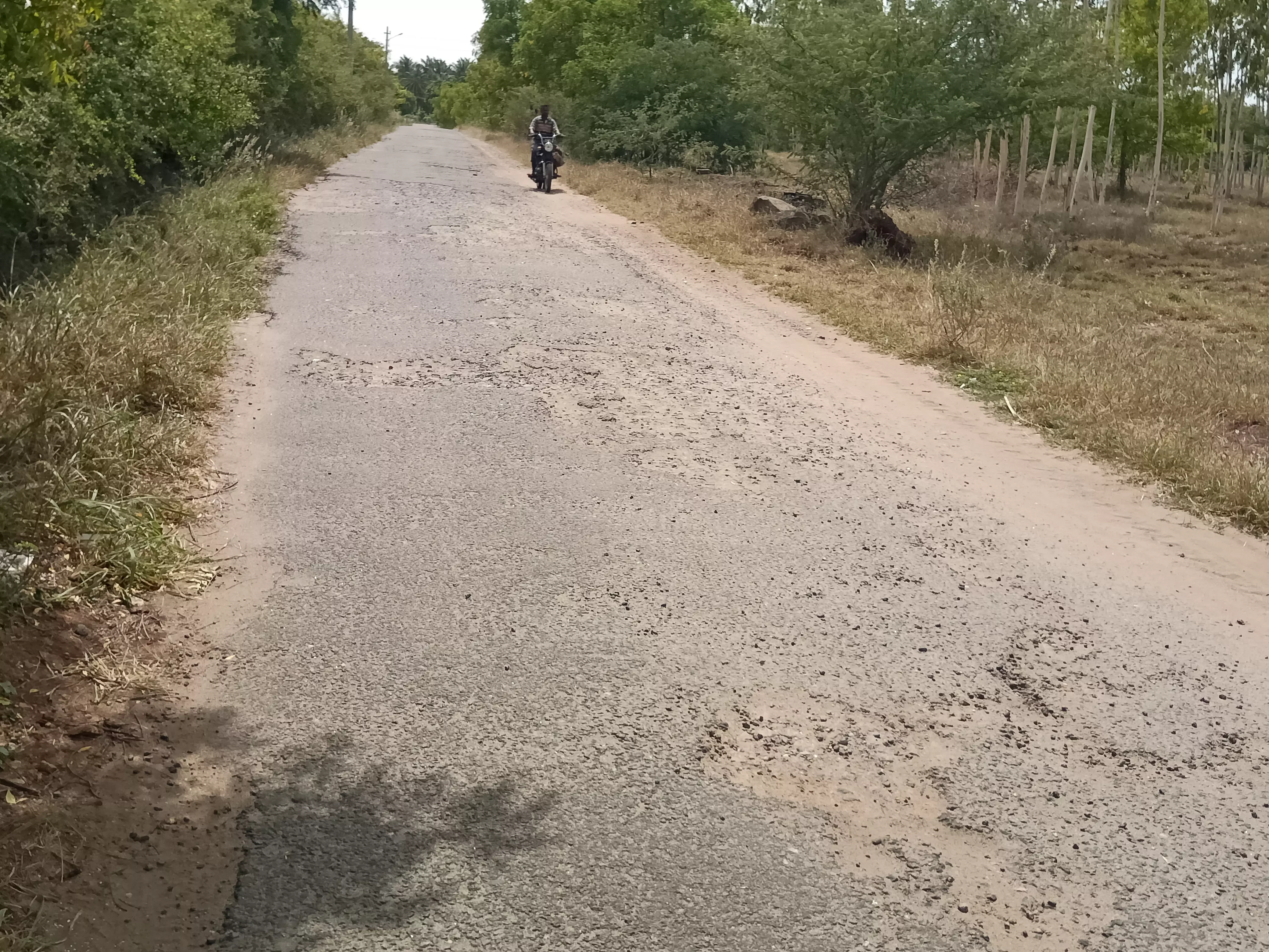 குண்டும், குழியுமான தார்சாலை