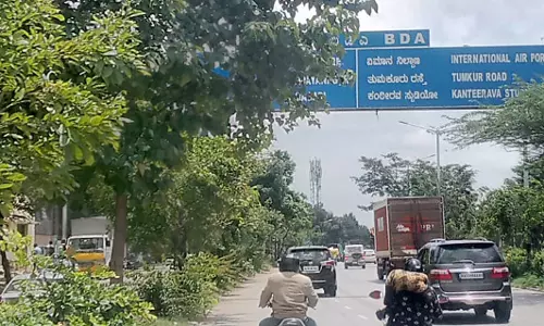 வழிகாட்டி பலகையை மறைக்கும் மரக்கிளை