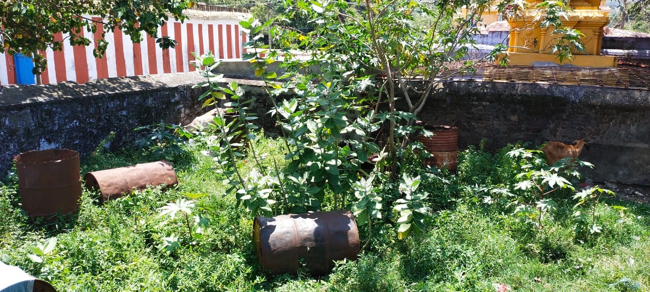 பொதுமக்கள் அச்சம் பொதுமக்கள் அச்சம்