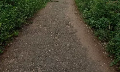 செடி-கொடிகளை அகற்றவேண்டும் செடி-கொடிகளை அகற்றவேண்டும்