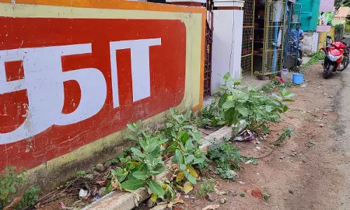 ஓடையை தூர்வார வேண்டும் ஓடையை தூர்வார வேண்டும்