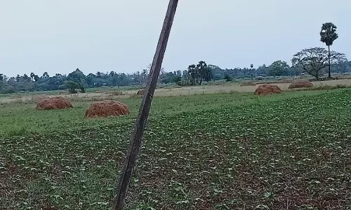 ஆபத்தான மின் கம்பம் ஆபத்தான மின் கம்பம்