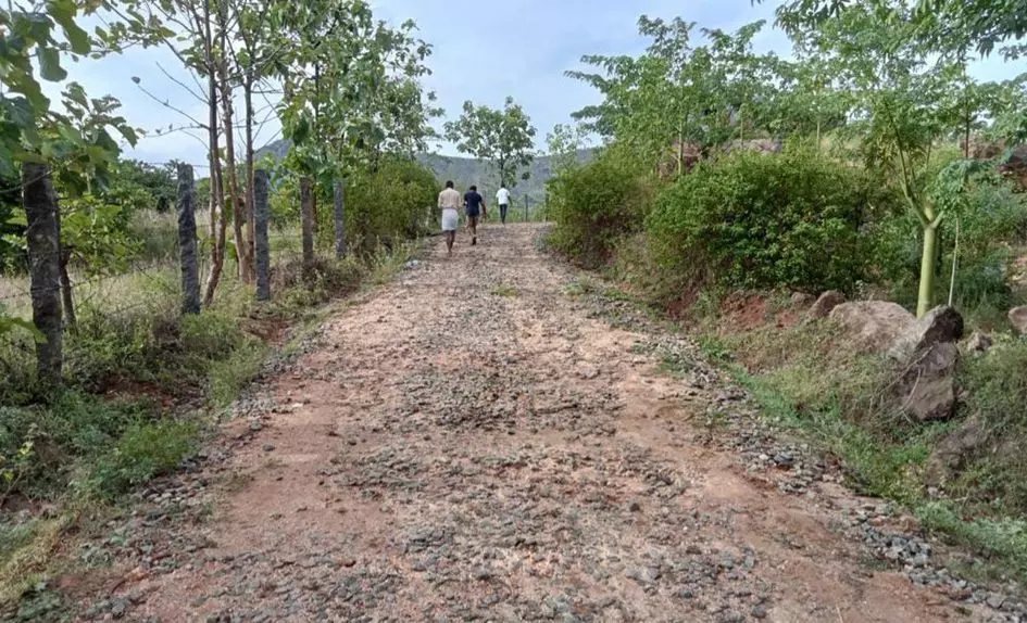 சேதம் அடைந்த சாலை