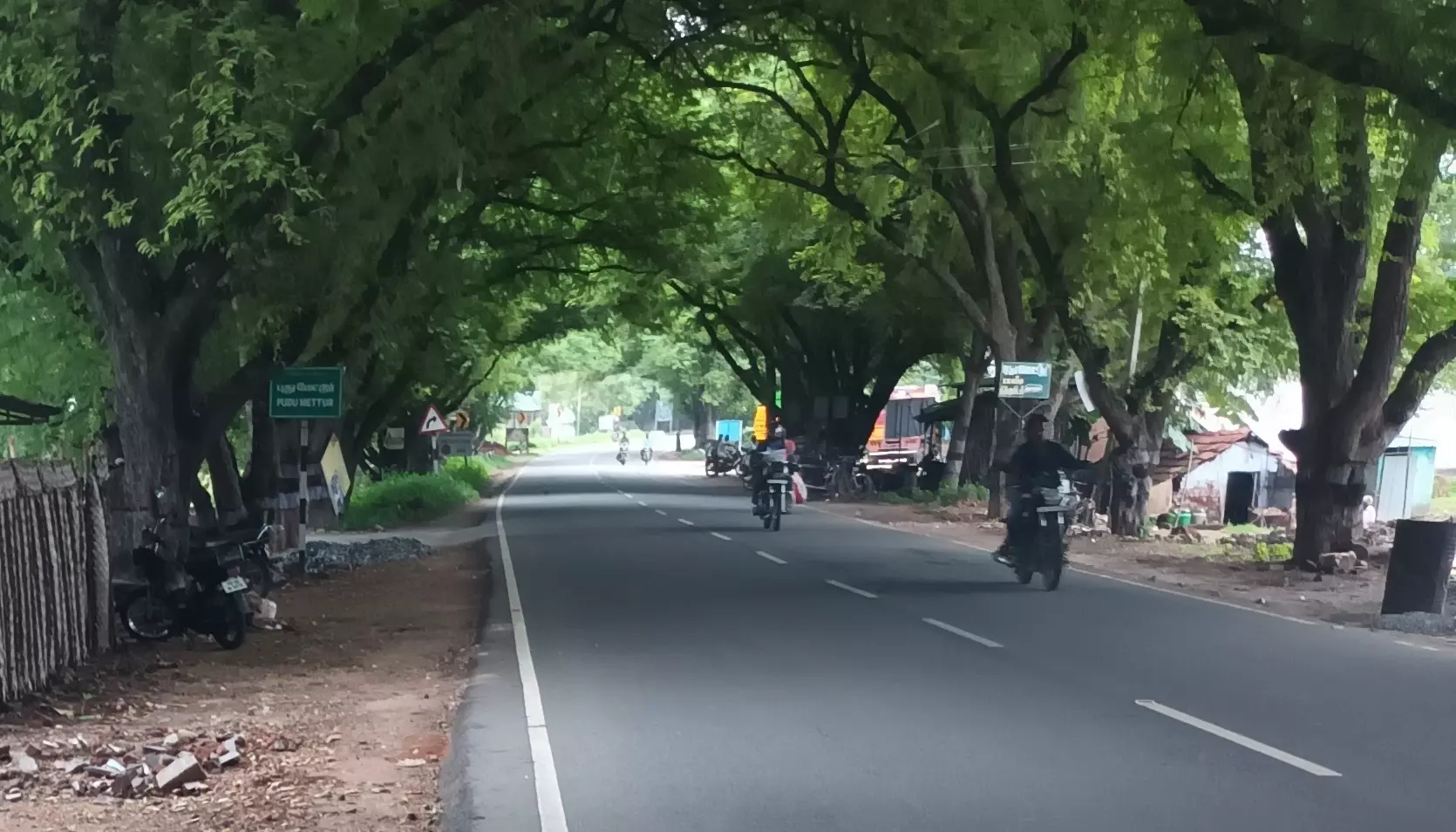 மரக்கிளையை அகற்ற வேண்டும் மரக்கிளையை அகற்ற வேண்டும்