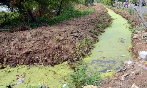 பச்சைபசேலாக மாறிய வாய்க்கால் பச்சைபசேலாக மாறிய வாய்க்கால்