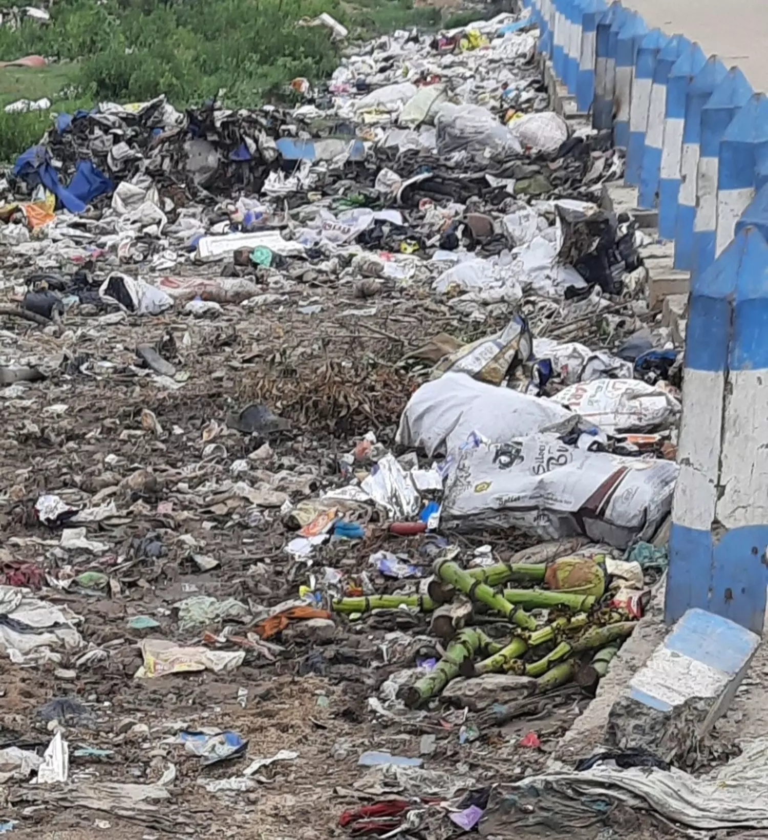 குப்பைகளால் சுகாதார சீர்கேடு குப்பைகளால் சுகாதார சீர்கேடு