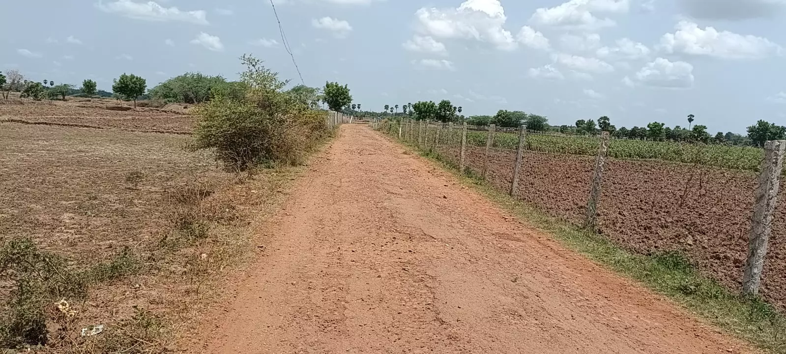 தார்ச்சாலை வசதி வேண்டும் தார்ச்சாலை வசதி வேண்டும்