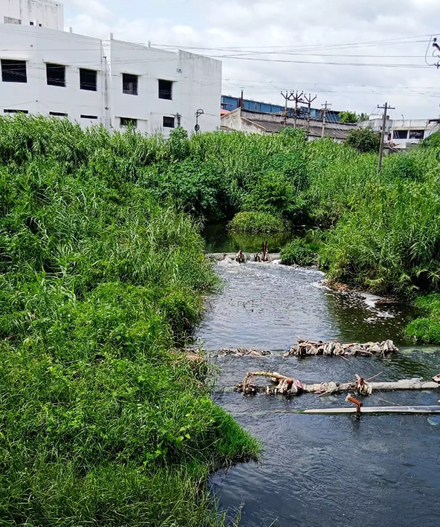 தோல் கழிவுநீரை ஆற்றில் விடும் அவலம்