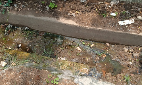 உடனடி நடவடிக்கை தேவை