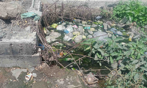 குப்பைகளால் சுகாதார சீர்கேடு குப்பைகளால் சுகாதார சீர்கேடு