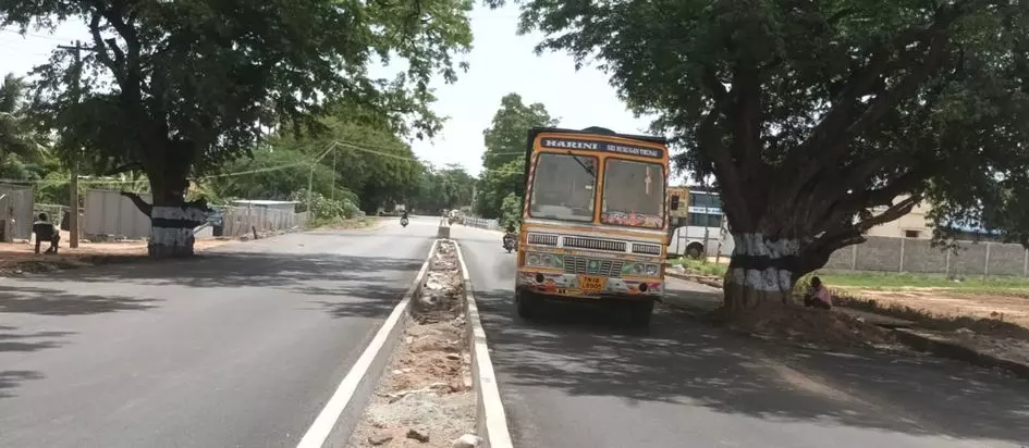 போக்குவரத்துக்கு இடையூறாக மரம்