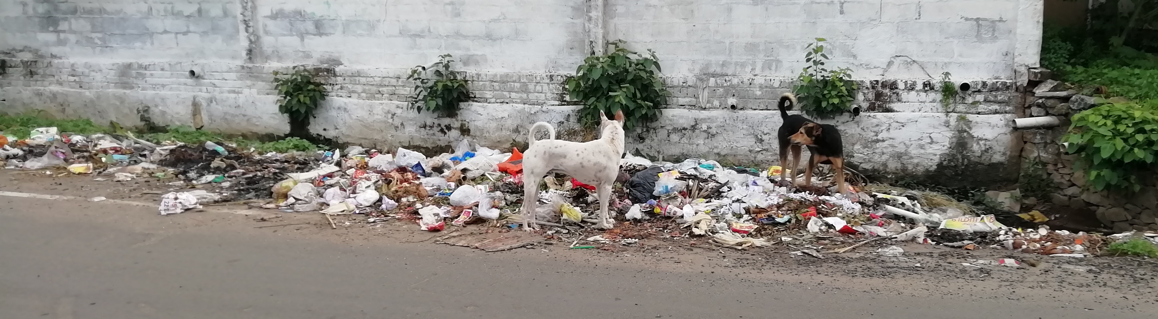 குவிந்து கிடக்கும் குப்பைகள்