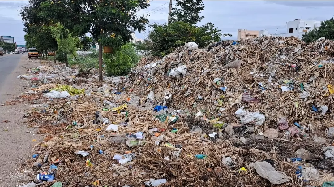 சாலையோரம் குவிந்து கிடக்கும் குப்பைகள் சாலையோரம் குவிந்து கிடக்கும் குப்பைகள்