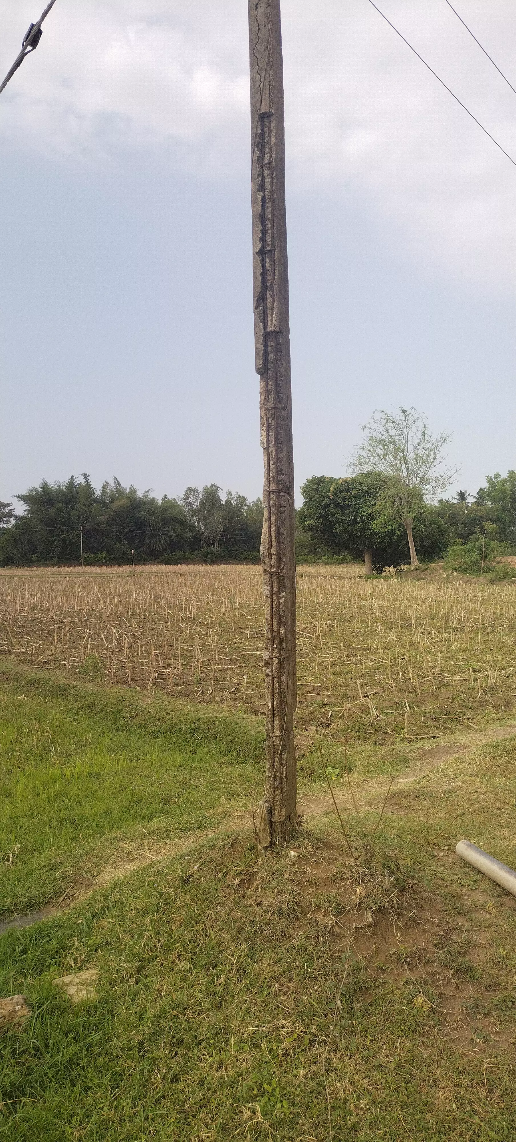 எலும்பு கூடான மின் கம்பங்கள் எலும்பு கூடான மின் கம்பங்கள்