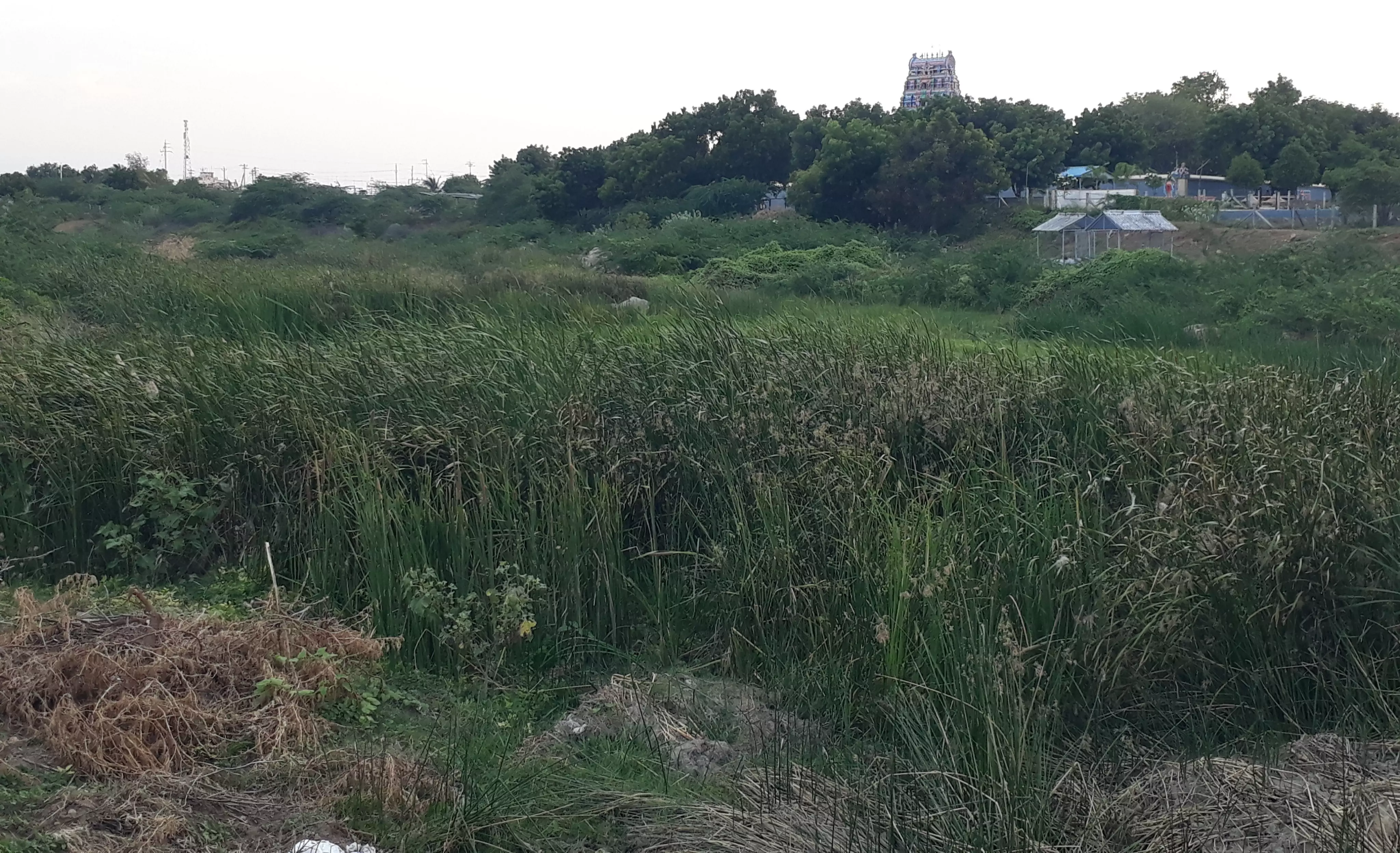 நங்காஞ்சி ஆற்றில் தேங்கி நிற்கும் கழிவுநீர் நங்காஞ்சி ஆற்றில் தேங்கி நிற்கும் கழிவுநீர்