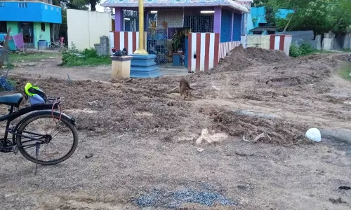 சேற்றுச் சாலை