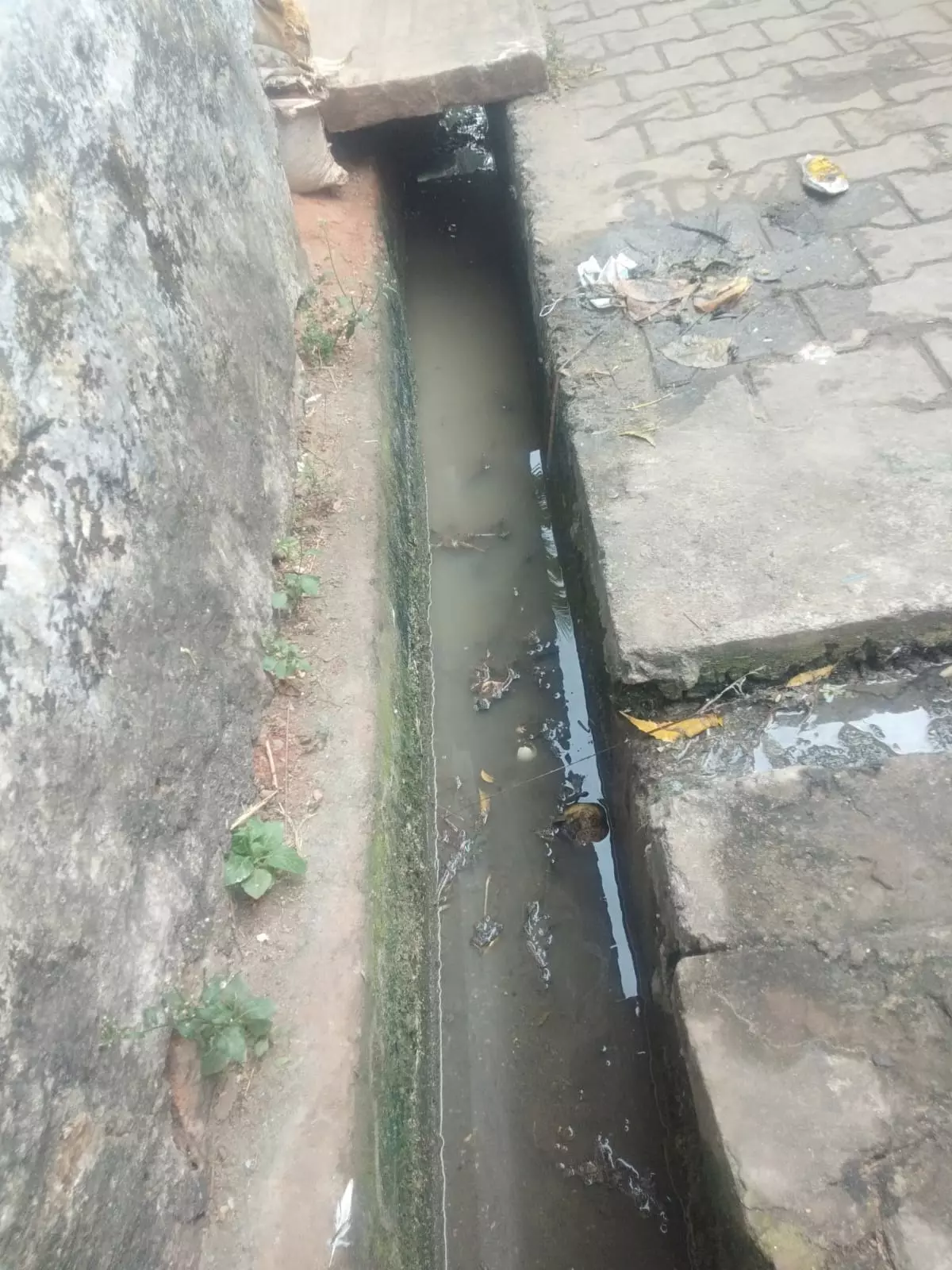 நடவடிக்கை தேவை நடவடிக்கை தேவை