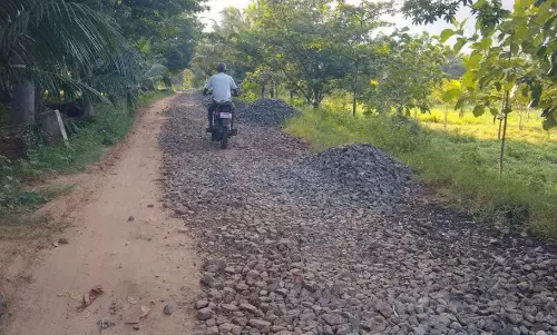 சாலை பணி எப்போது?