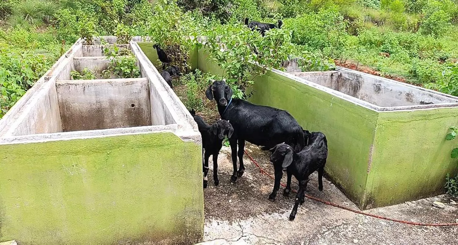 குப்ைப தொட்டிகள் பயன்பாட்டுக்கு வருமா?