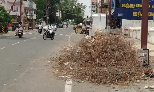 குவிந்து கிடக்கும் மரக்கிளைகள்