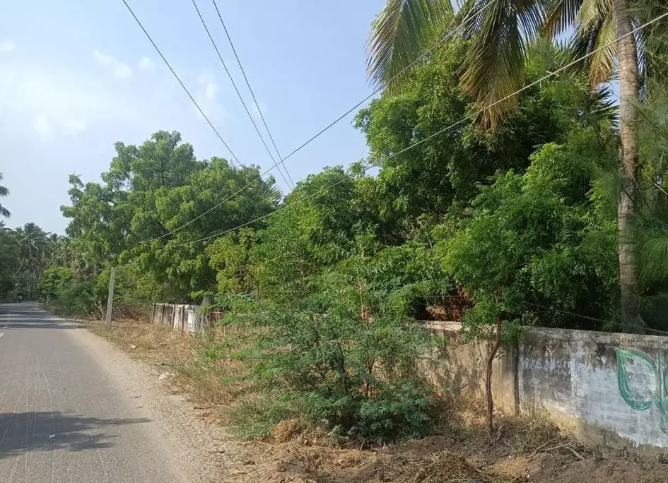 தாழ்வாக செல்லும் மின்கம்பிகள் தாழ்வாக செல்லும் மின்கம்பிகள்