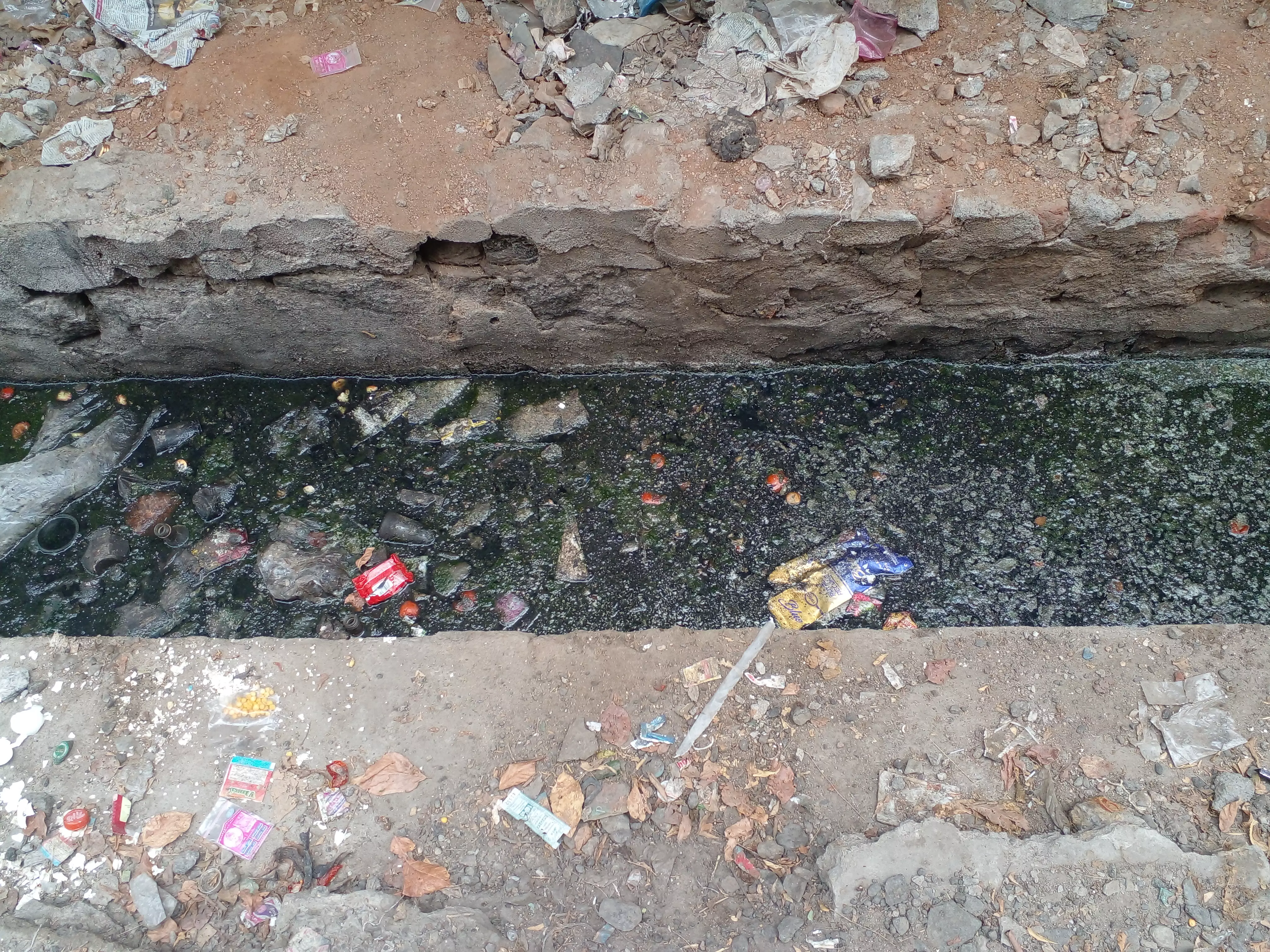 சுகாதார சீா்கேடு