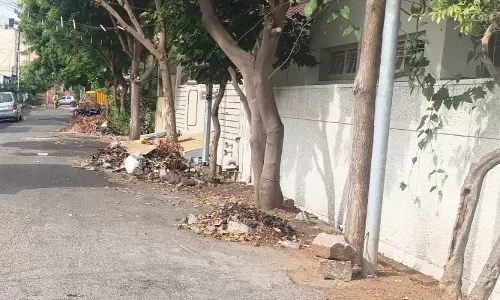 சாலையோரம் குப்பை