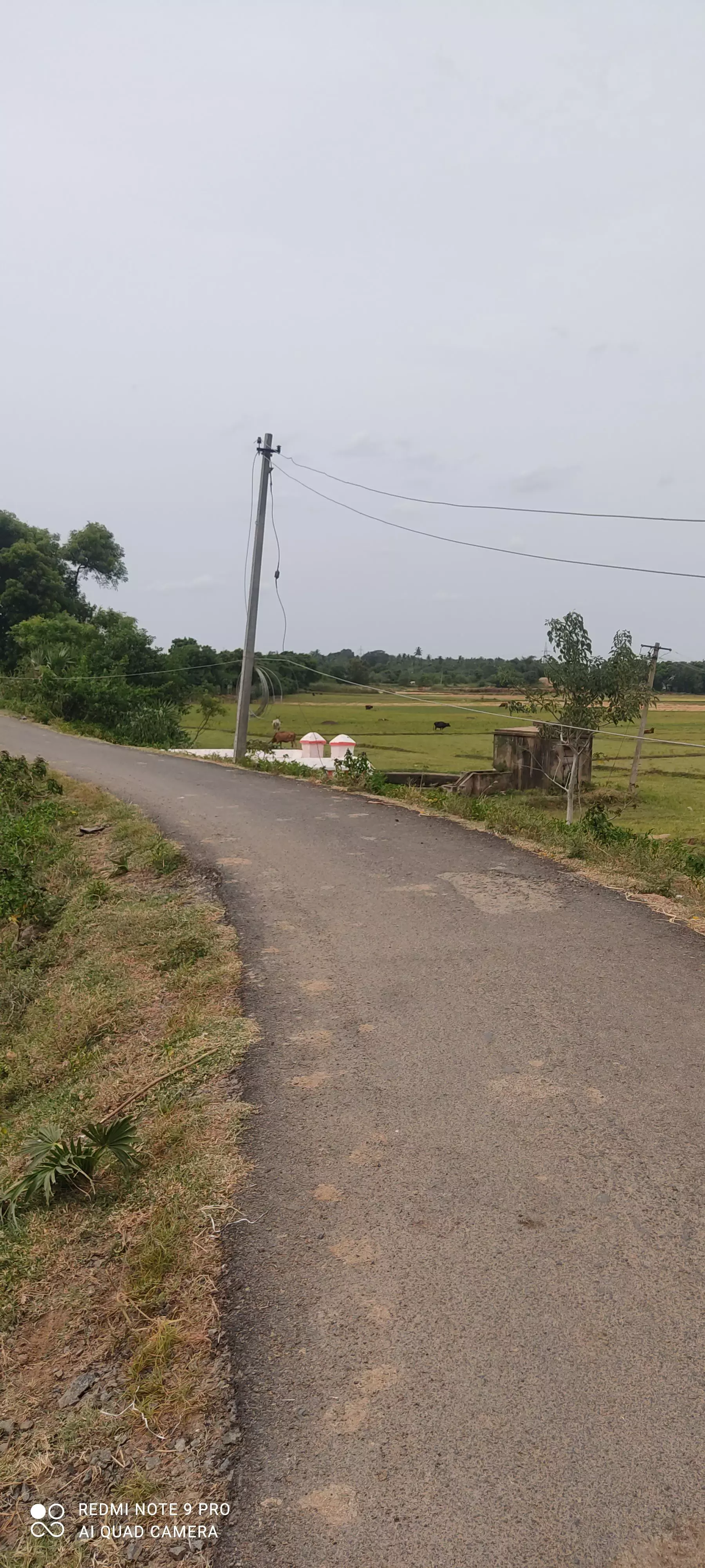 கைக்கு எட்டும் உயரத்தில் மின்கம்பி கைக்கு எட்டும் உயரத்தில் மின்கம்பி