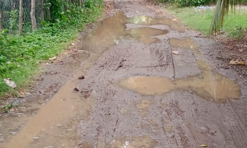 சாலை சீரமைக்கப்படுமா?