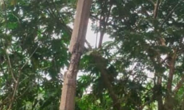 சேதமடைந்த மின்கம்பம் மாற்றப்படுமா?