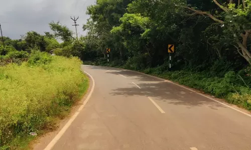 சாலையோரம் செடி, கொடிகளை அகற்றுவார்களா? சாலையோரம் செடி, கொடிகளை அகற்றுவார்களா?