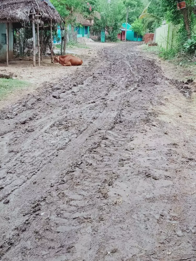 புதிய சாலையின் அவலம்