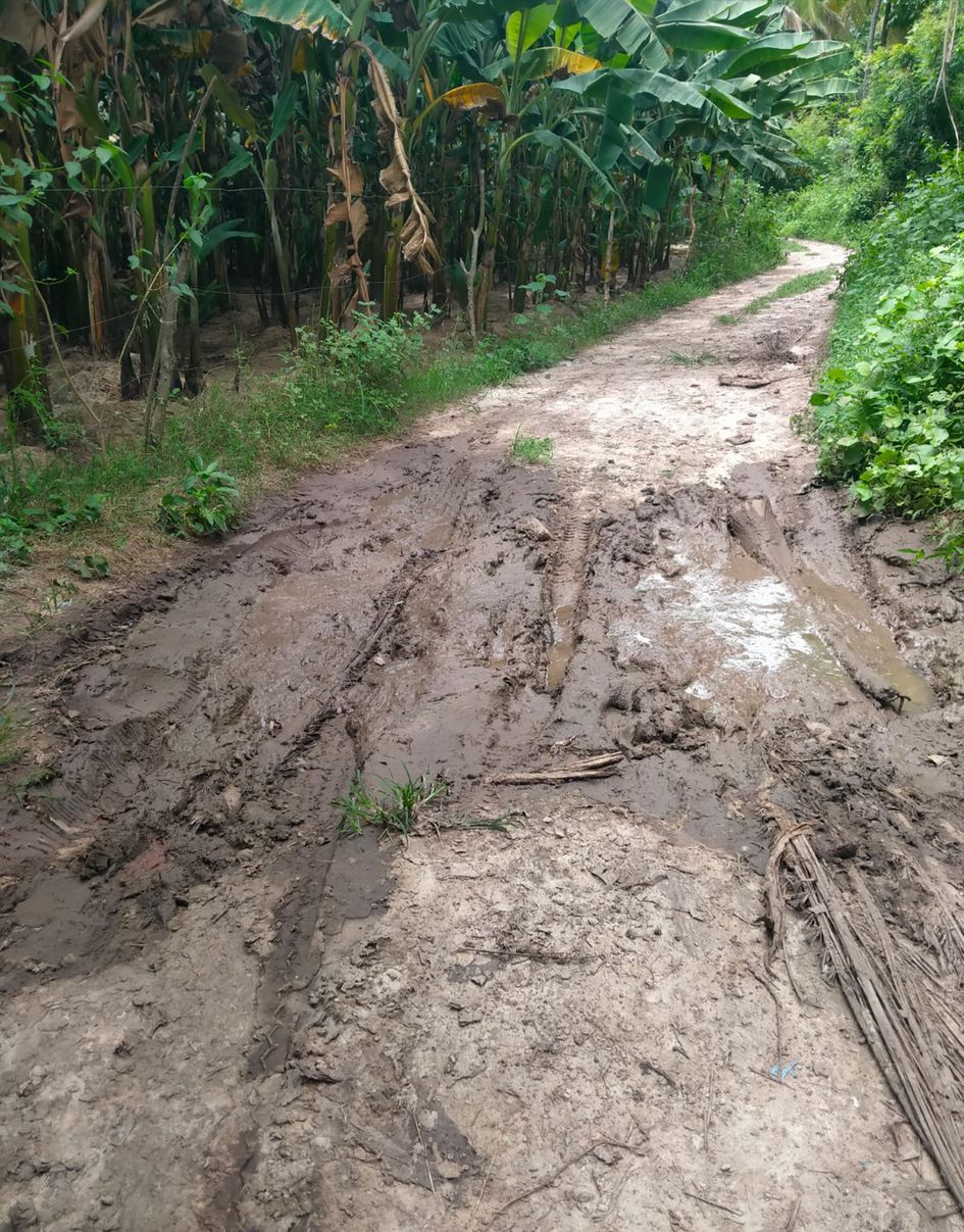 தார்சாலை வசதி தேவை