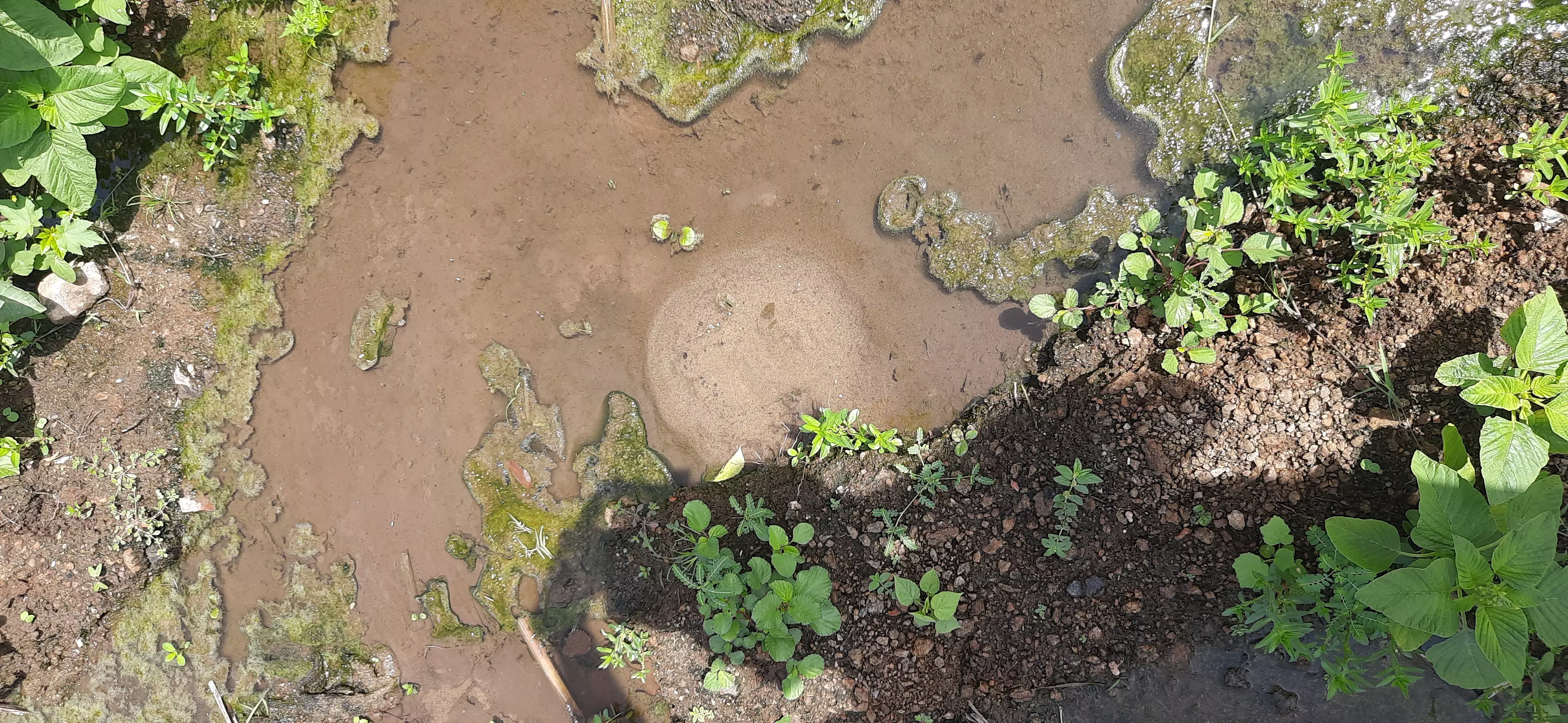 வீணாகும் குடிநீர்