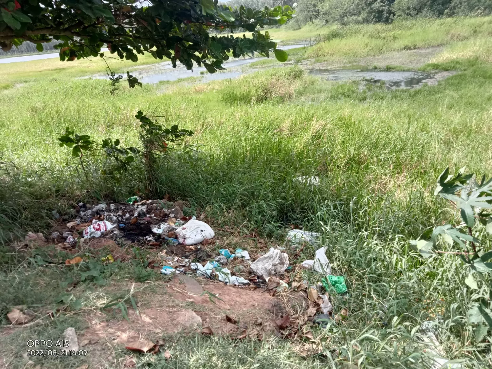 குளத்தை தூர்வார வேண்டும்