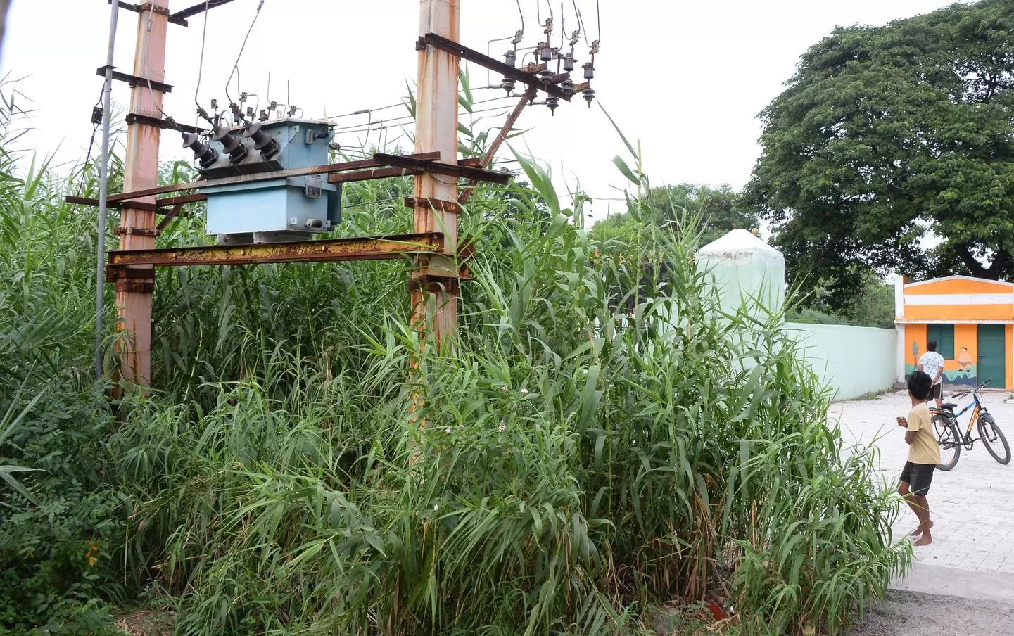 புதர் மண்டி கிடக்கும் மின்சார டிரான்ஸ்பார்மர்