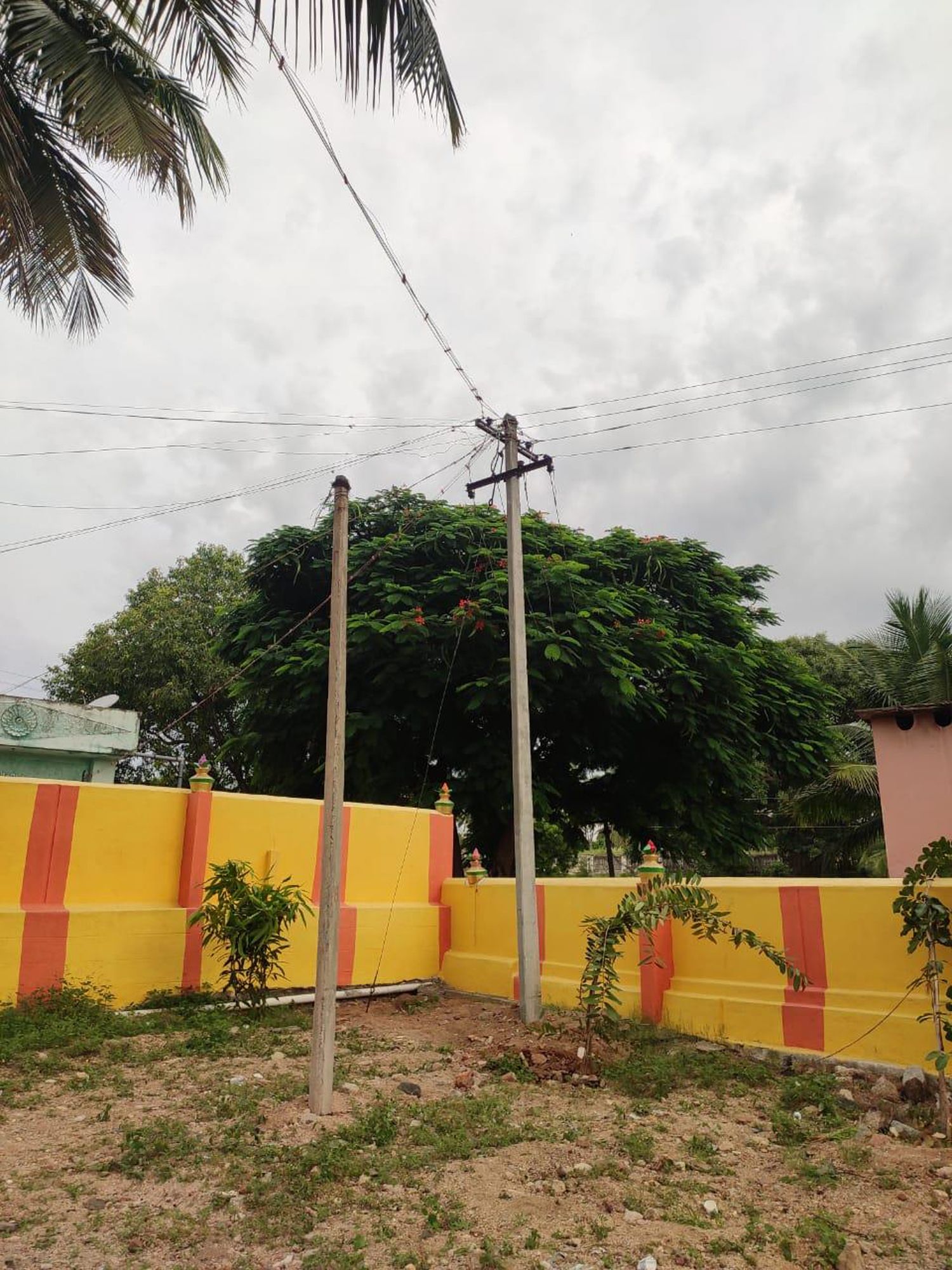 தினத்தந்திக்கு நன்றி தினத்தந்திக்கு நன்றி