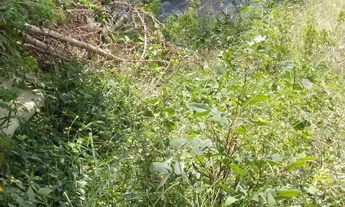 பக்தர்கள் அச்சம் பக்தர்கள் அச்சம்