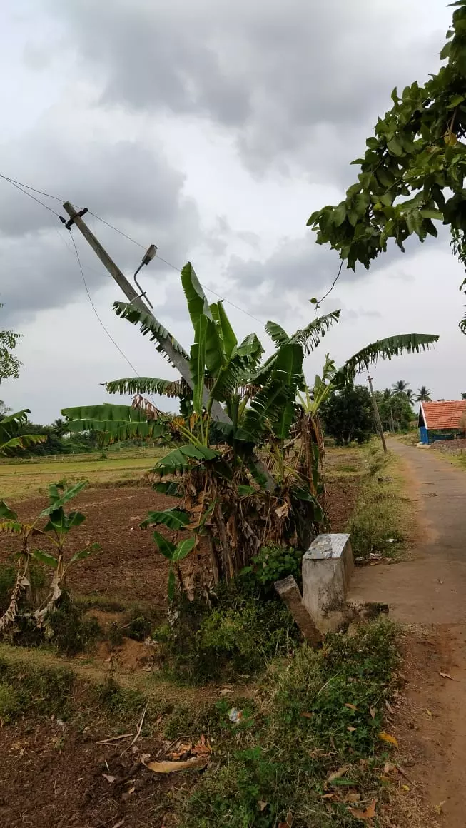 ஆபத்தான மின்கம்பங்கள் ஆபத்தான மின்கம்பங்கள்