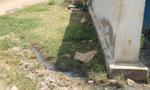 நோய் பரவும் அபாயம்