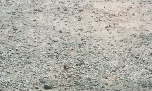 சேதமடைந்த கான்கிரீட் தளம்