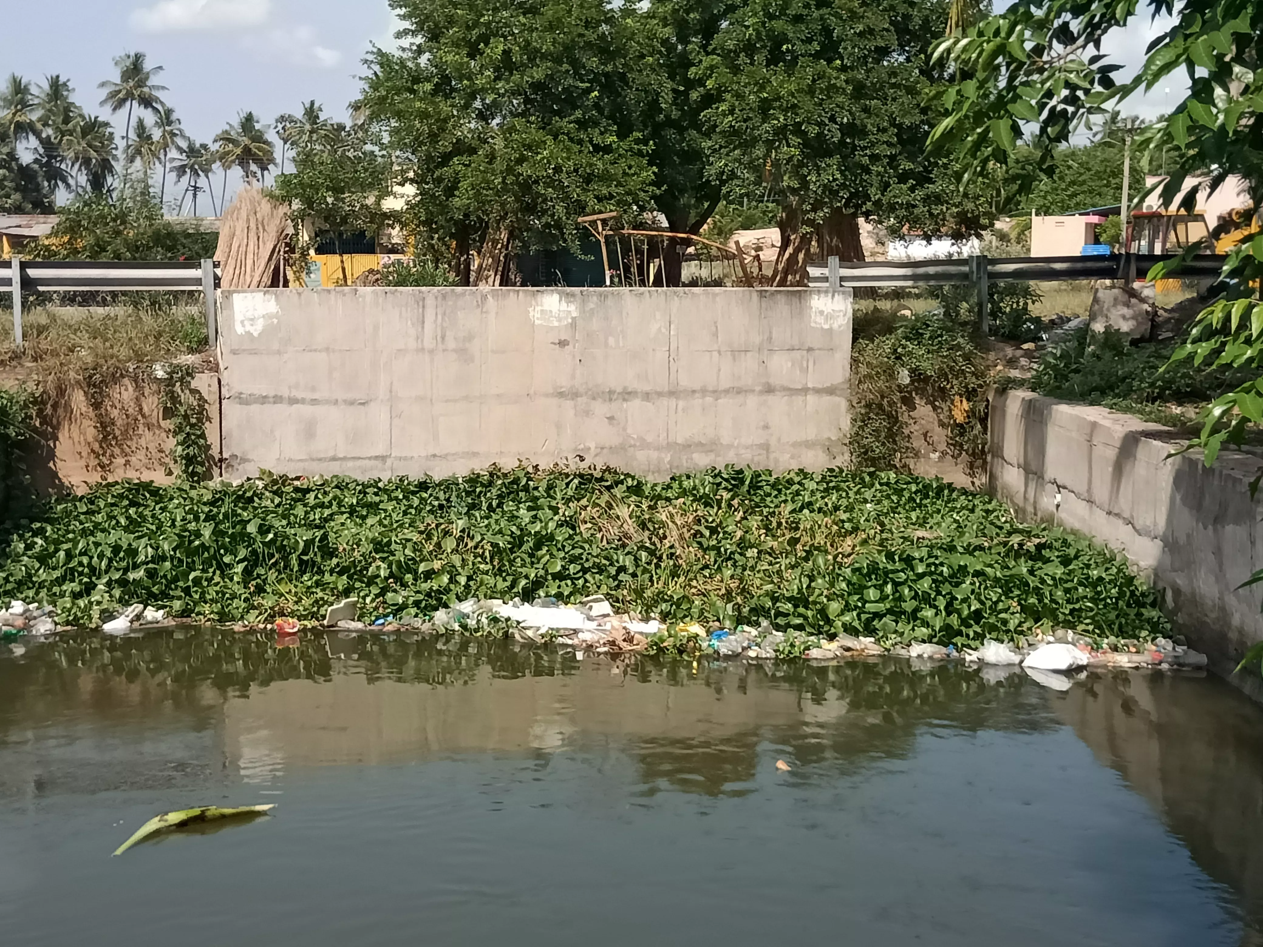 பாலத்தில் தேங்கும் ஆகாய தாமரைகள்