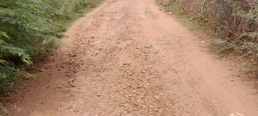 தார்ச்சாலை வசதி வேண்டும்