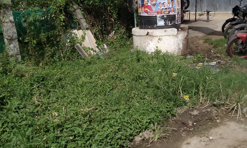 புதருக்குள் தண்ணீர் தொட்டி புதருக்குள் தண்ணீர் தொட்டி