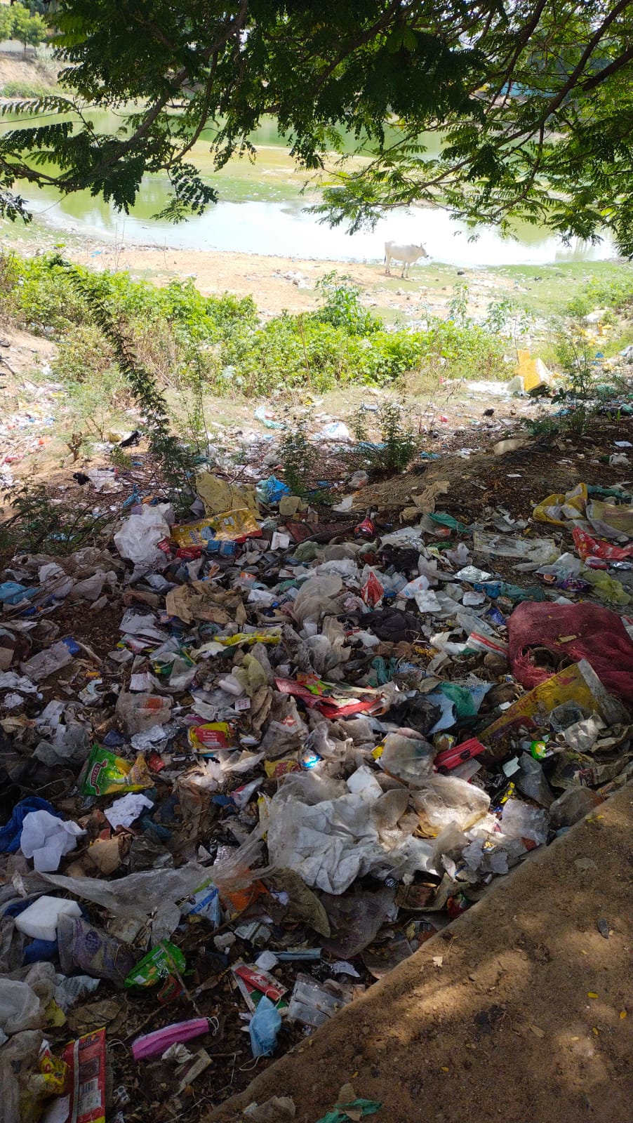 ஊருணி தூர்வாரப்படுமா?